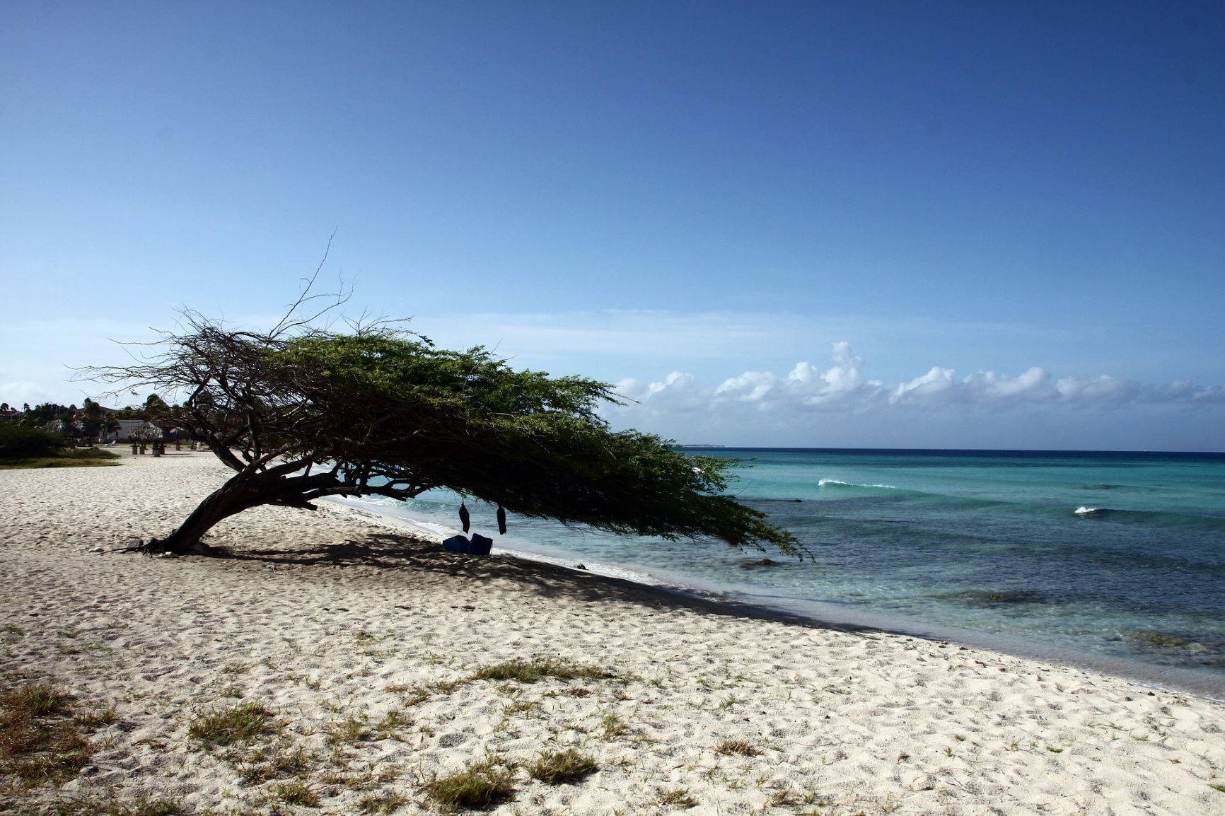 Aruba Office